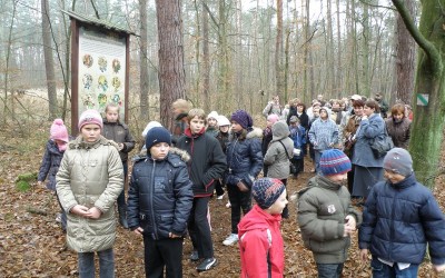 TURYSTYKA PRZYRODNICZA W POWIECIE OPOLSKIM